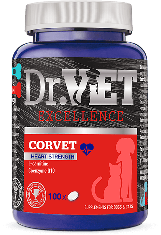 CORVET